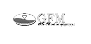 GFM Geoforschungsgruppe Marburg
